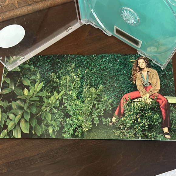 Celine All the Way…. A decade of Song Greatest hits + 7 new songs - Picture 4 of 6